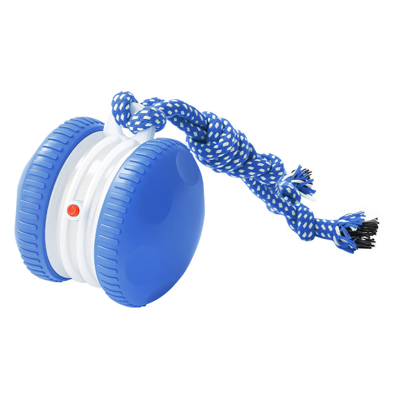 🐱Interactive Rolling Ball🐶