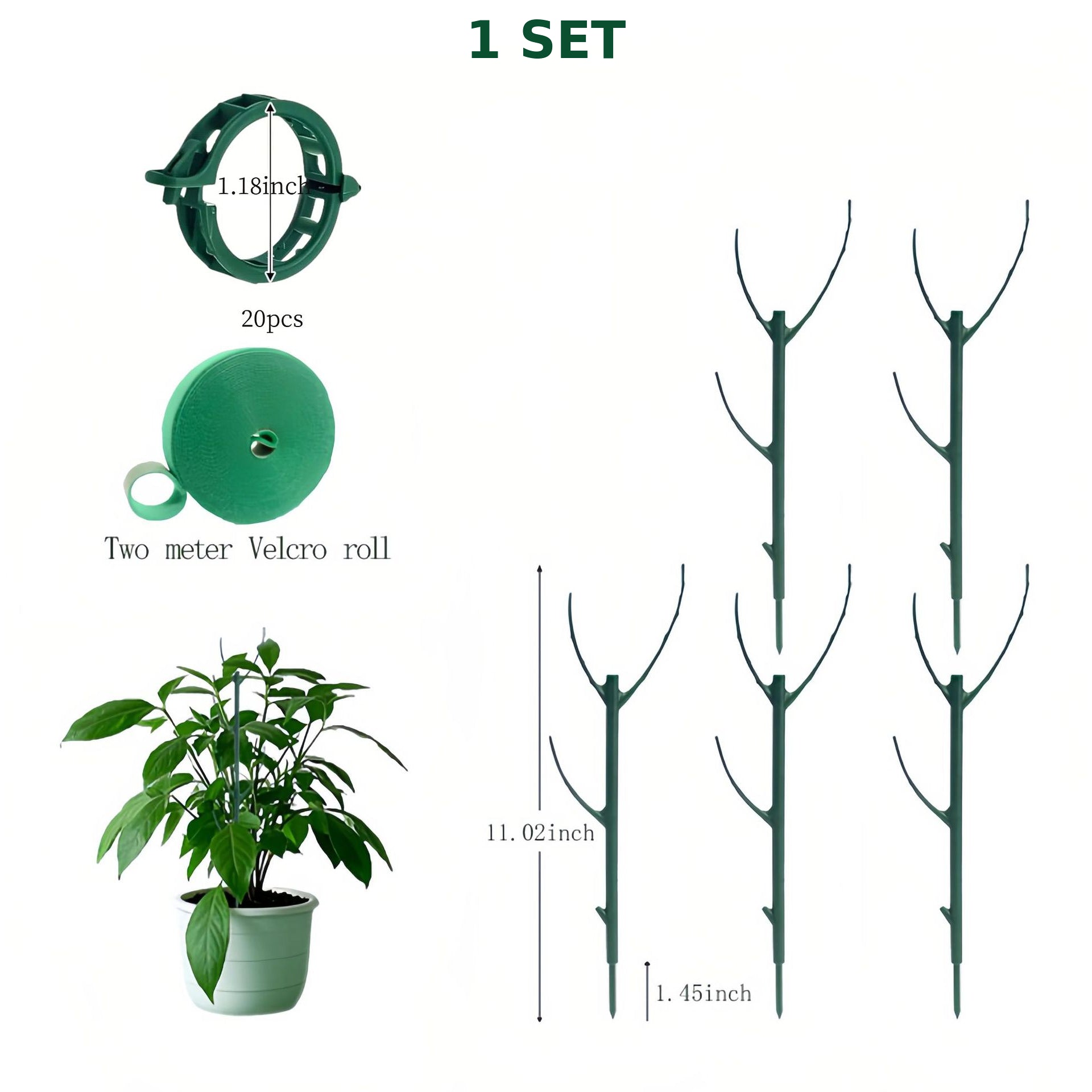 1 Set