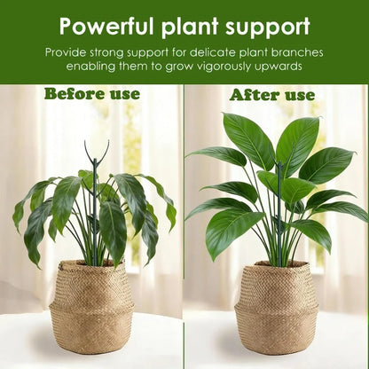 50% OFF🔥 LAST DAY SALE! | Climb-Up Stackable Plant Support Stakes