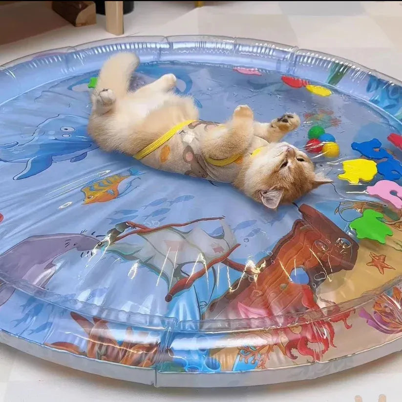 🔥Last Day! Buy 2-Only $14.99 Each🔥Curious Play Mat Your Pet Will Actually Use