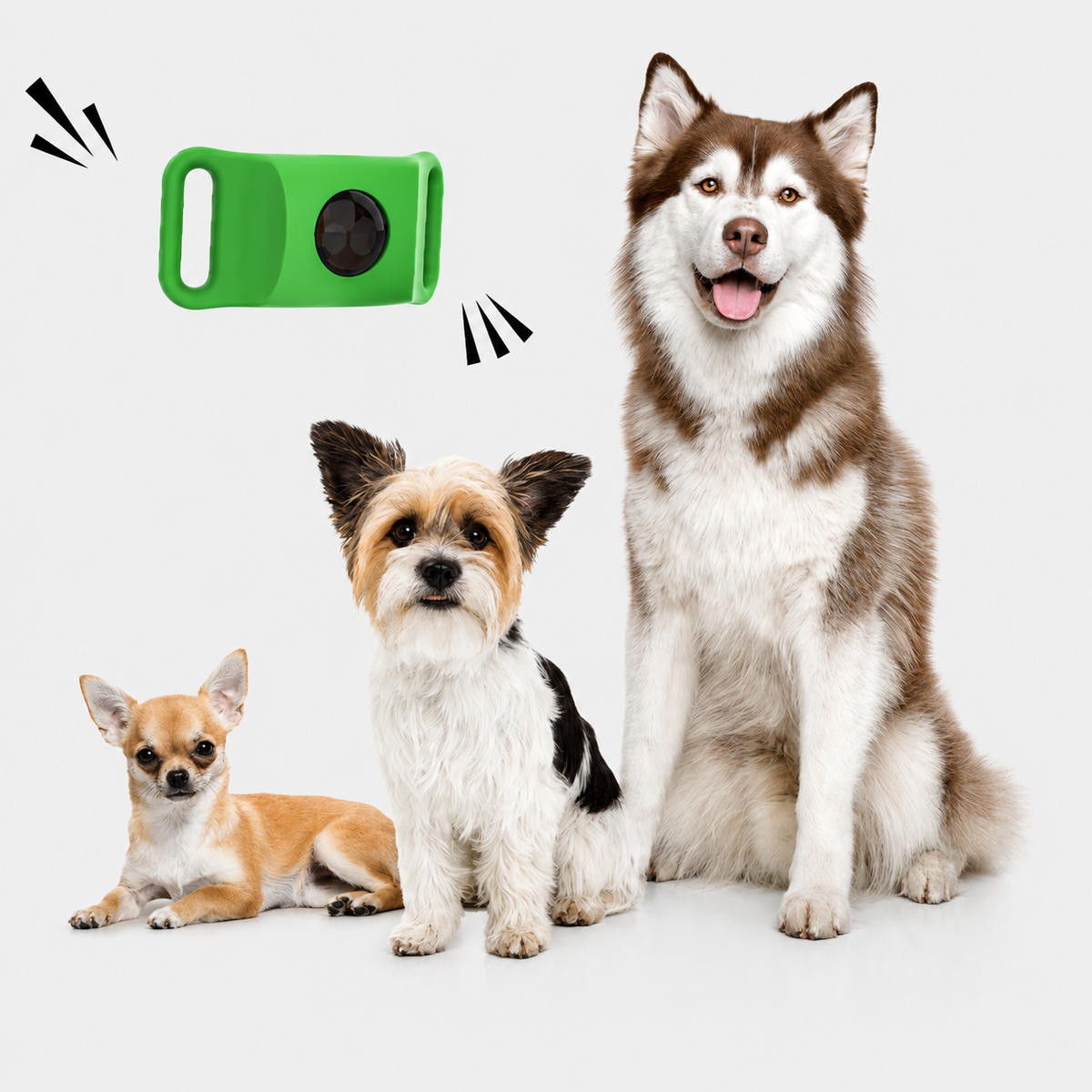 Natural flea and tick pendant for pets