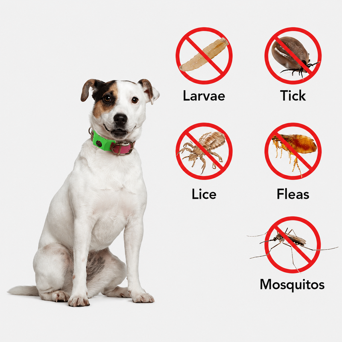 Natural flea and tick pendant for pets