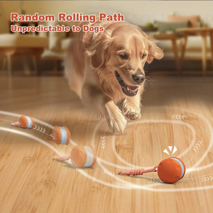 🐱Interactive Rolling Ball🐶