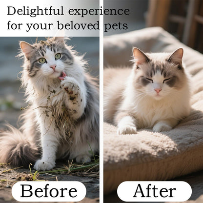 🔥LAST DAY! BUY 2 ONLY $14.99 EACH🔥Pet Steam Spray Comb for Detangling and Deshedding🐱🐶