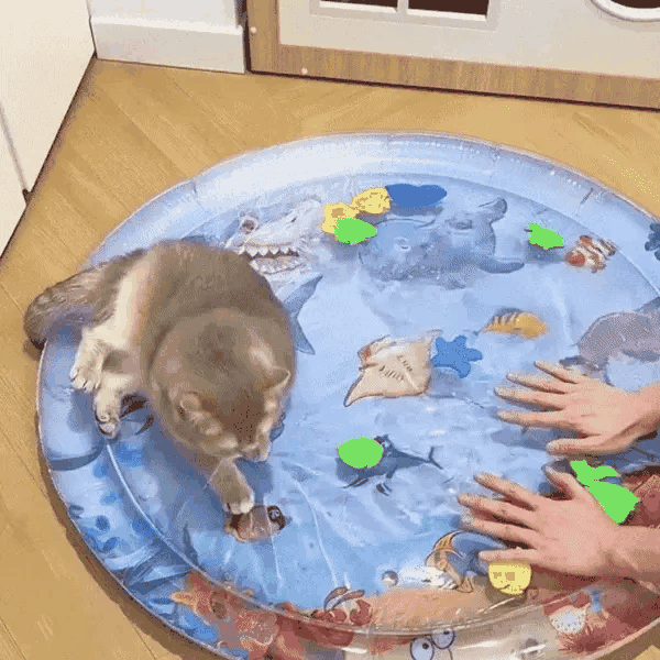 Pet relaxing on the AquaPets interactive cooling water mat