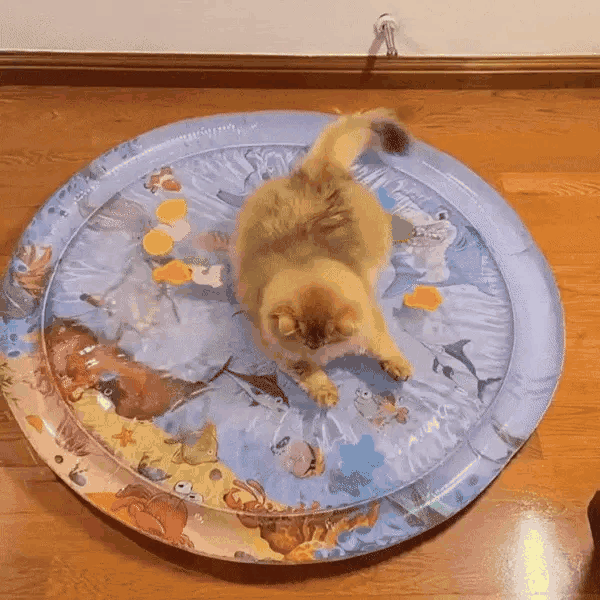 Easy-to-clean pet water mat for safe summer play