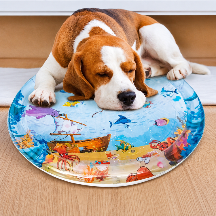 Dog playing happily with the ocean-themed interactive water mat