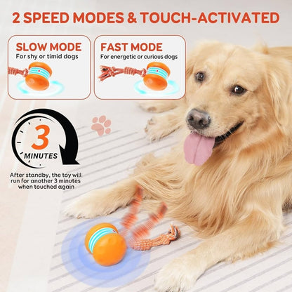 🐱Interactive Rolling Ball🐶