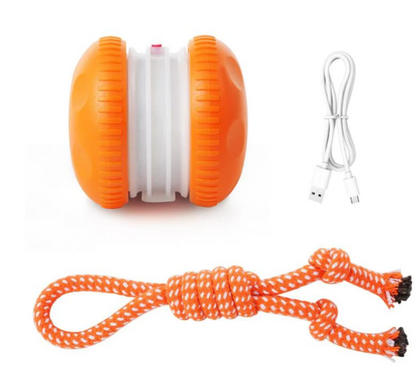🐱Interactive Rolling Ball🐶