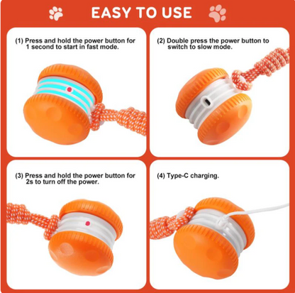 🐱Interactive Rolling Ball🐶