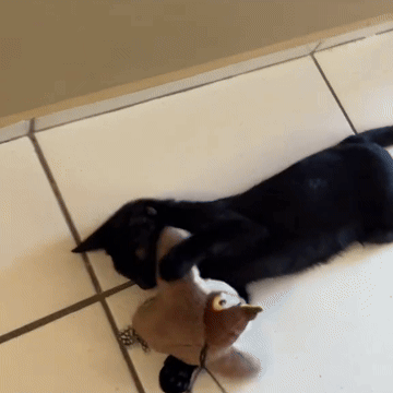 🔥 LIMITED-TIME OFFER! 50% OFF 🔥Flapping Bird Interactive Cat Toy – Realistic Motion & Chirping